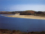 Padstow Beaches - Daymer Bay