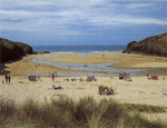 Padstow Beaches - Porthcothan Bay