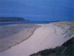 Padstow Beaches - Rock