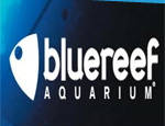 Blue Reef Aquarium - Newquay