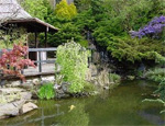 Japanese Garden & Bonsai Nursery
