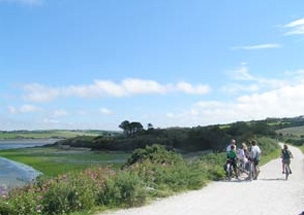 Padstow Online - The Camel Trail