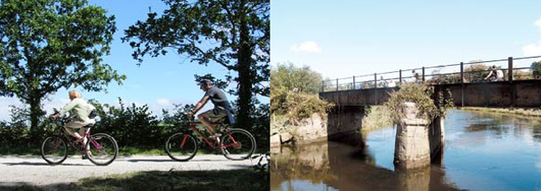 Padstow Online - The Camel Trail